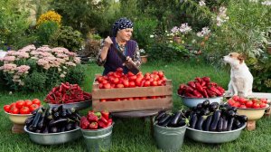 Деревенская Кухня | Баклажаны С Говядиной На Открытом Огне