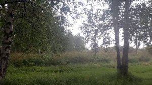 Хороший дождик, давно не было