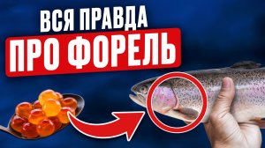 Секреты фермерской форели! О чем молчат при разведении и СКОЛЬКО можно заработать на рыбе с нуля?