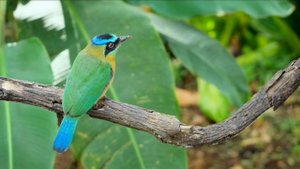 Кино пачка сигарет