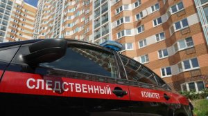 Следователи допросили женщину, угрожавшую убить девочку на площадке под Москвой
