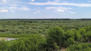 Поездка в Красные Баки