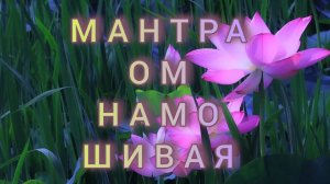 🟢Мантра ОМ НАМО ШИВАЯ