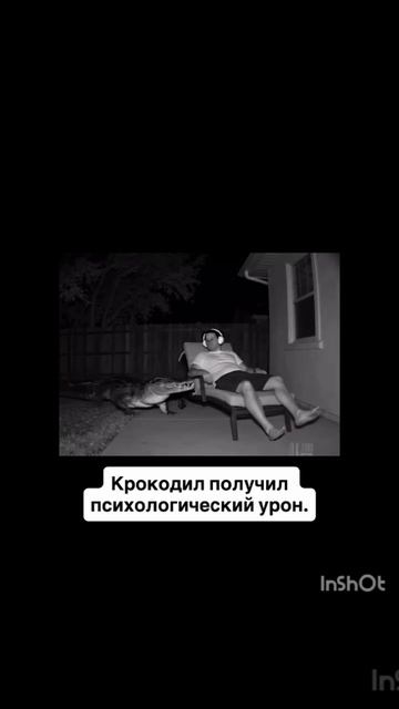 "Приключения Крокодила"..mp4