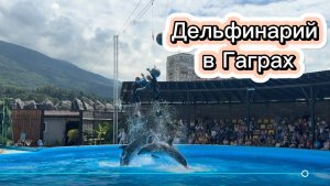 Дельфинарий в Гаграх