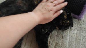 ленивки мои😘🍓