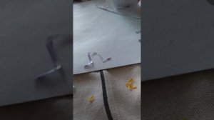 Распаковка бумажных сюрпризов