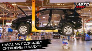 Haval M6 подсидел Ситроены в Калуге 📺 Новости с колёс №3384
