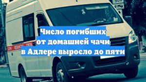 Число погибших от домашней чачи в Адлере выросло до пяти