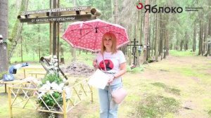 5 августа 2025 года. "Яблоко" в Левашовской пустоши.