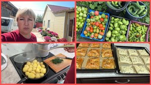 Подкопала МОЛОДОЙ КАРТОФЕЛЬ. Собрала помидоры 🍅 с улицы. Захотелось испечь САМСУ.