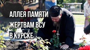 В Курске появилась аллея роз в память о погибших от вторжения ВСУ. Смотрите, как она выглядит