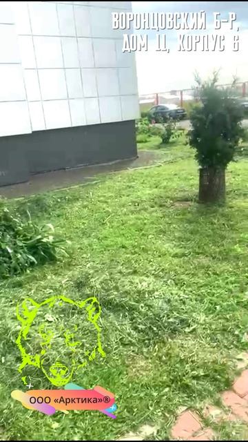 Покос у Шестого корпуса. смотреть онлайн