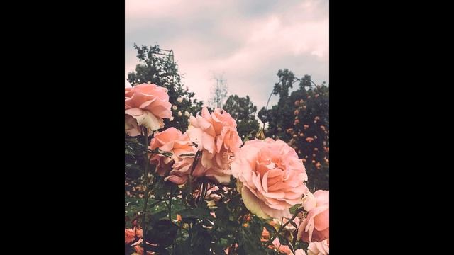 FREE TYPE BEAT (METOX/УННВ/ЦИНК УРОДОВ) смотреть онлайн