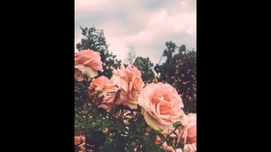 FREE TYPE BEAT (METOX/УННВ/ЦИНК УРОДОВ)