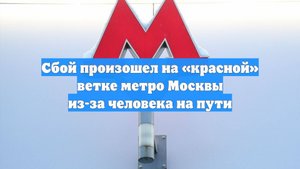 Сбой произошел на «красной» ветке метро Москвы из-за человека на пути