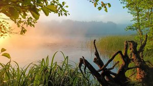 Поход по озёрам: Боровское, Лопастное, Молодёжное, UHD 4K