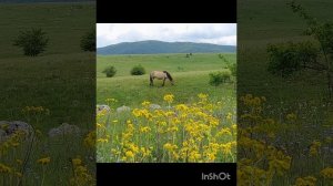 Жизнь дает шанс кажый день