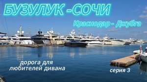 15. БУЗУЛУК СОЧИ КРАСНОДАР ДЖУБГА
