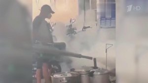 На юге Китая ввели ограничения из-за вируса чикунгунья