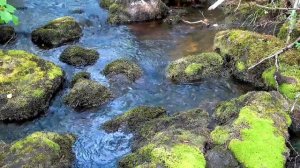 Ковдор история города и Ковдорского ГОКа