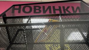 ЧИЖИК НОВЫЙ ЗАВОЗ от 06-08-2025