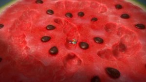 Мои лучшие моменты (Выпуск от 06.08.25)