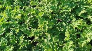 Открыть канал,это ещё не стать блогером - это про меня!