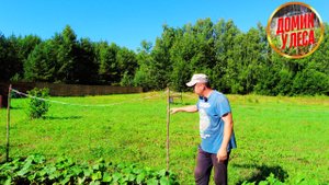 ЖИЗНЬ В ГЛУХОЙ ДЕРЕВНЕ | Домик у леса продолжает меняться