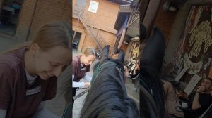 Взрослая радость коняшка