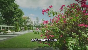 Одни из самые озеленённых  городов мира