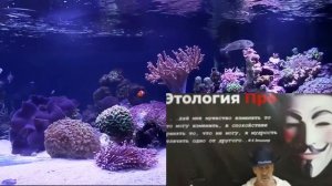 Замедлить старение _ Холод Голод и Интервальное голодание (R)