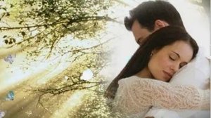 Я так тебя любил