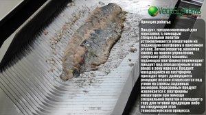 Машина для деликатной нарезки рыбы слайсом Vega HFS 280 I Нарезка рыбы