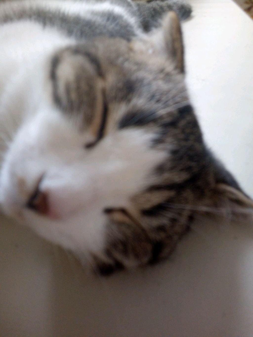 клар