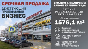 Продажа готового бизнеса детский развлекательный центр Арлепарк Калининград