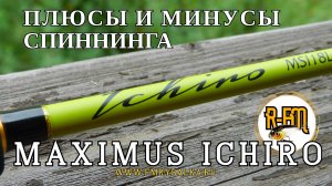Плюсы и минусы Maximus Ichiro 1,8L, 2-9 грамм