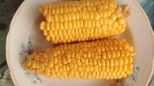 Пробуем первый раз кукурузу в этом году 😊