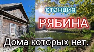 Станция Рябина. Дома которых нет. Лесное озеро. Прошлое. Деревня. Ульяновская область.