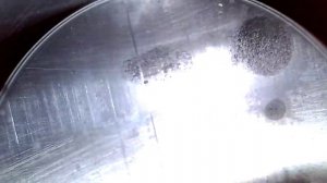 ИЖ-27 16х70 нижний ствол