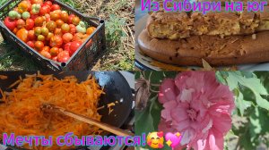 Переезд из Сибири на юг . Забор из затенёнки. /С помидорами всё кончено./Заливной, обалденный.😋💖