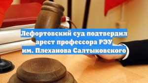 Лефортовский суд подтвердил арест профессора РЭУ им. Плеханова Салтыковского