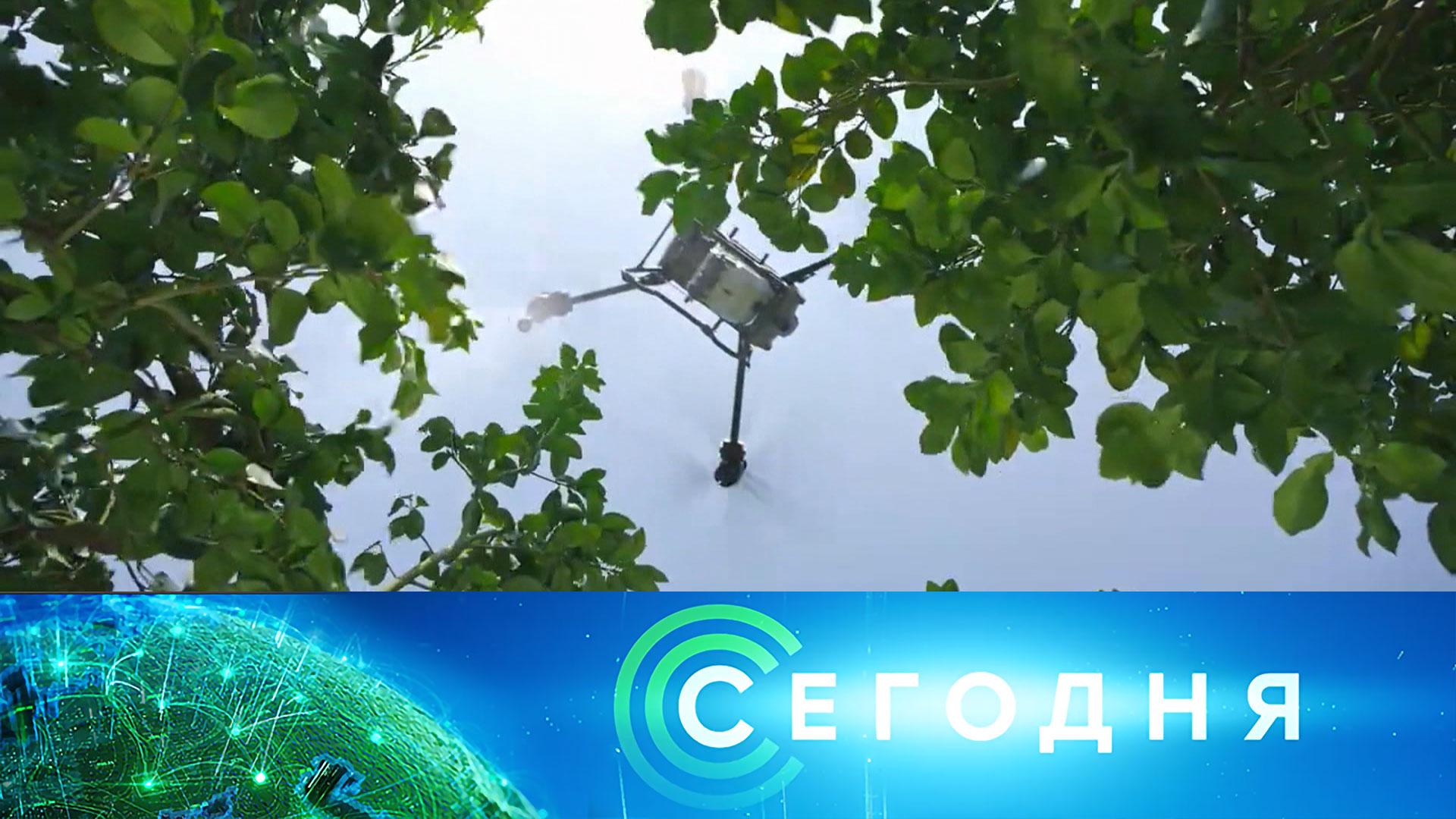 Сегодня: 6 августа 2025 года. 16:00 | Выпуск новостей | Новости НТВ