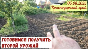 Готовим делянки под второй урожай(06.08.2025)