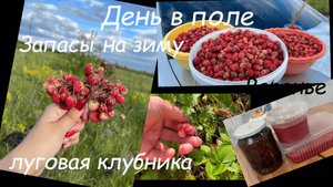 "Луговая клубника-собираем, готовим, наслаждаемся!" (Запасы на зиму)