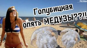 МЕДУЗЫ В ГОЛУБИЦКОЙ сегодня 6 августа 2025. Обстановка на Центральном пляже и Азовское море сейчас