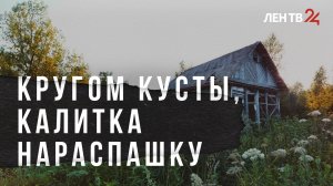 В России продолжают пугать изъятием неухоженных дачных участков