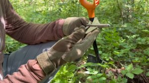 Сокровища под листвой: монеты, пуговицы и неожиданные находки!