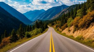 Дорога по жизни