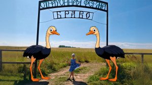 Страусиная ферма БРАВО